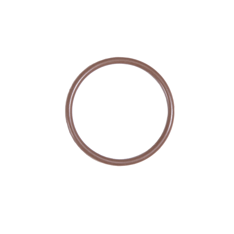 Fuel Filter O-Ring 5779000